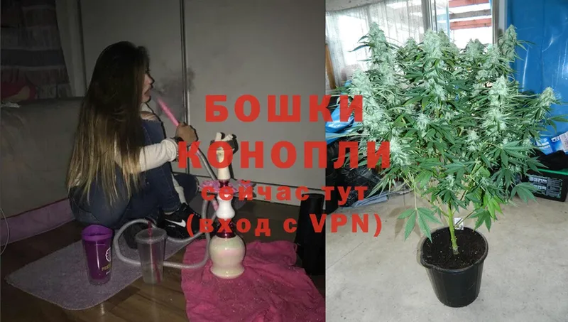 ссылка на мегу вход  Городец  Марихуана OG Kush 